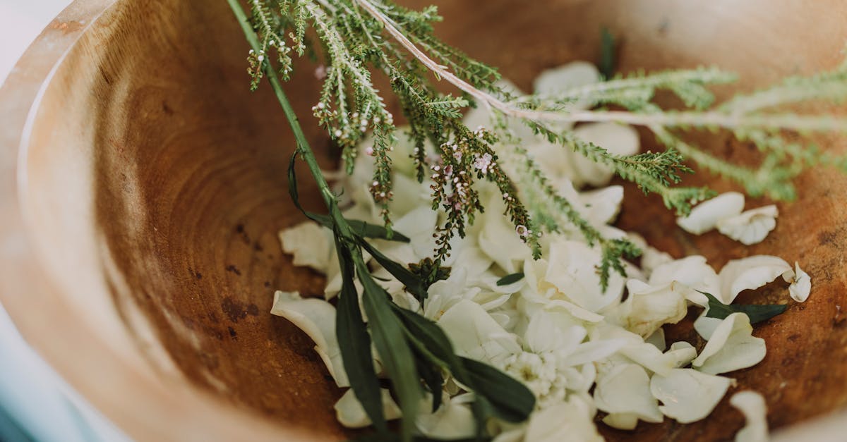 découvrez les bienfaits des cosmétiques bio : des soins naturels, sans produits chimiques, respectueux de votre peau et de l’environnement. optez pour une beauté saine et éthique grâce à notre sélection de produits certifiés biologiques.