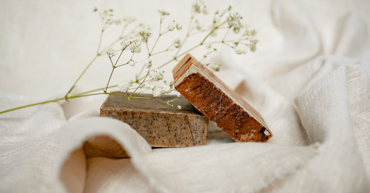 découvrez notre sélection de cosmétiques bio, élaborés à partir d'ingrédients naturels pour sublimer votre beauté tout en respectant votre peau et l'environnement.