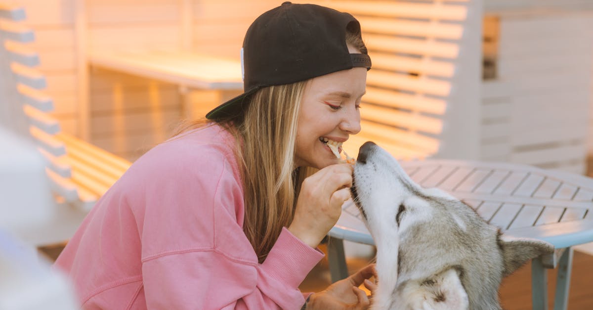 restez informé sur les derniers rappels d'aliments pour animaux de compagnie. découvrez les produits concernés, les raisons du rappel et les précautions à prendre pour assurer la sécurité de votre chien ou chat.