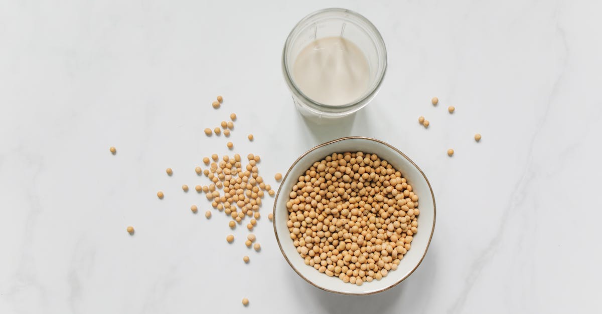 découvrez tout sur le soja : ses bienfaits nutritionnels, ses usages en cuisine et ses impacts sur la santé. guide complet pour intégrer le soja à votre alimentation.