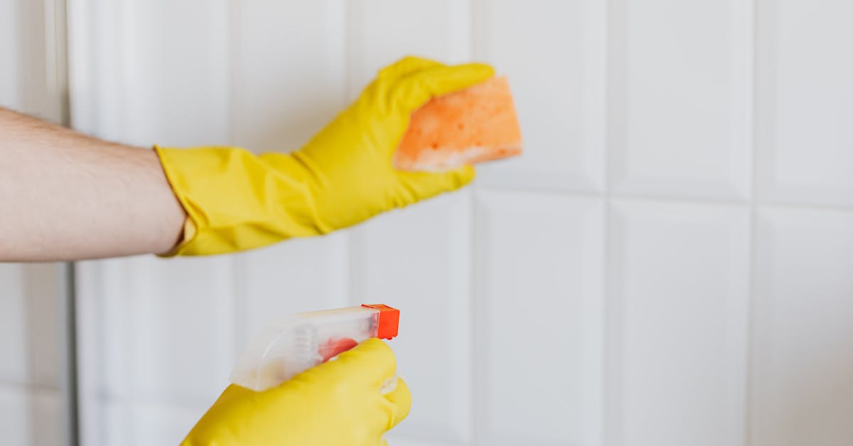 découvrez notre sélection de détergents efficaces pour un nettoyage impeccable de votre maison. formules adaptées à tous types de surfaces et respectueuses de l'environnement. facile d'utilisation et résultats professionnels garantis.