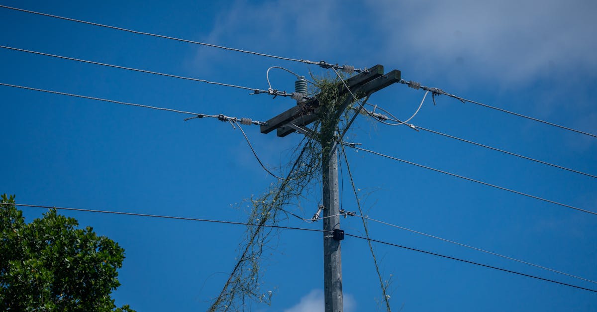 découvrez tout ce qu'il faut savoir sur l'étiquette énergie : définition, fonctionnement et conseils pour bien comprendre et choisir votre équipement en fonction de sa consommation énergétique.