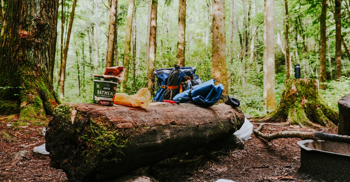 découvrez notre guide complet sur le survival kit : les essentiels à emporter pour faire face à toutes les situations d'urgence, conseils d'experts, équipements indispensables et astuces pour survivre en toute sécurité.