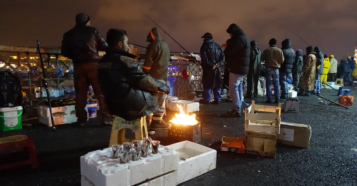 découvrez tout sur l'isolation thermique : principes, avantages, matériaux et conseils pour optimiser le confort et réduire la consommation d'énergie de votre maison.