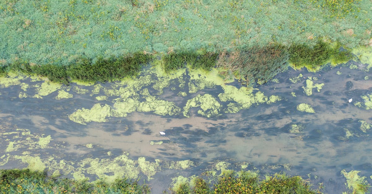 découvrez l'adoucisseur d'eau : une solution efficace pour éliminer le calcaire, protéger vos appareils ménagers et profiter d'une eau douce au quotidien. comparez les modèles et trouvez l'adoucisseur adapté à vos besoins.