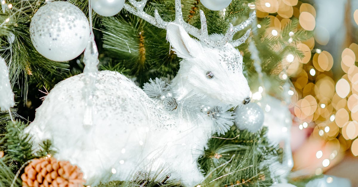 découvrez la vérité sur le mythe de la prise de poids liée au pain et comment l'intégrer dans une alimentation équilibrée.