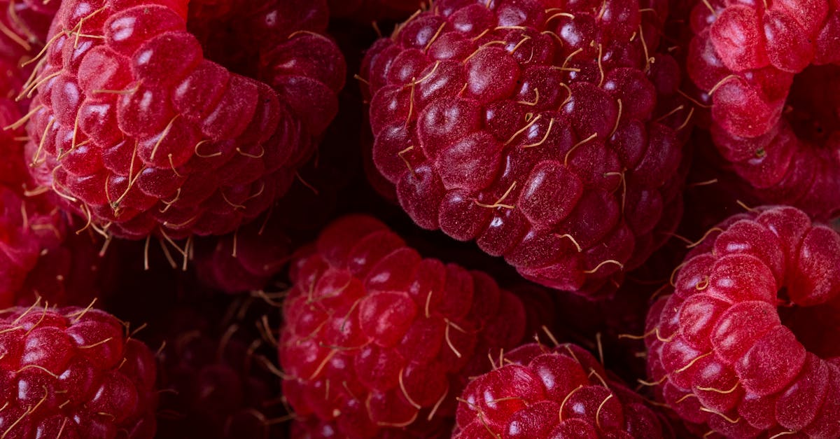 découvrez la symbolique dynamique des taureaux et la puissance du rouge, une combinaison idéale pour exprimer énergie et passion.