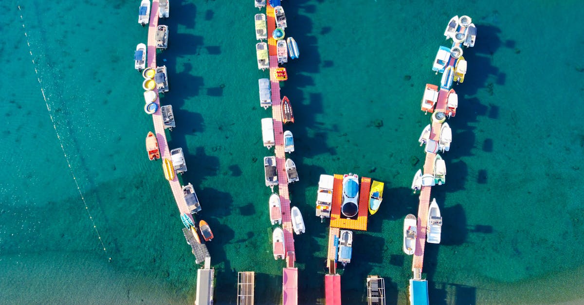 découvrez la relation fascinante entre les chats et l'eau : comportements, conseils pour les baigner et astuces pour éviter les soucis.