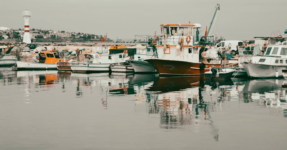 découvrez comment les chats réagissent à l'eau, des conseils pour le bain et les meilleures pratiques pour garder votre félin heureux et en bonne santé.
