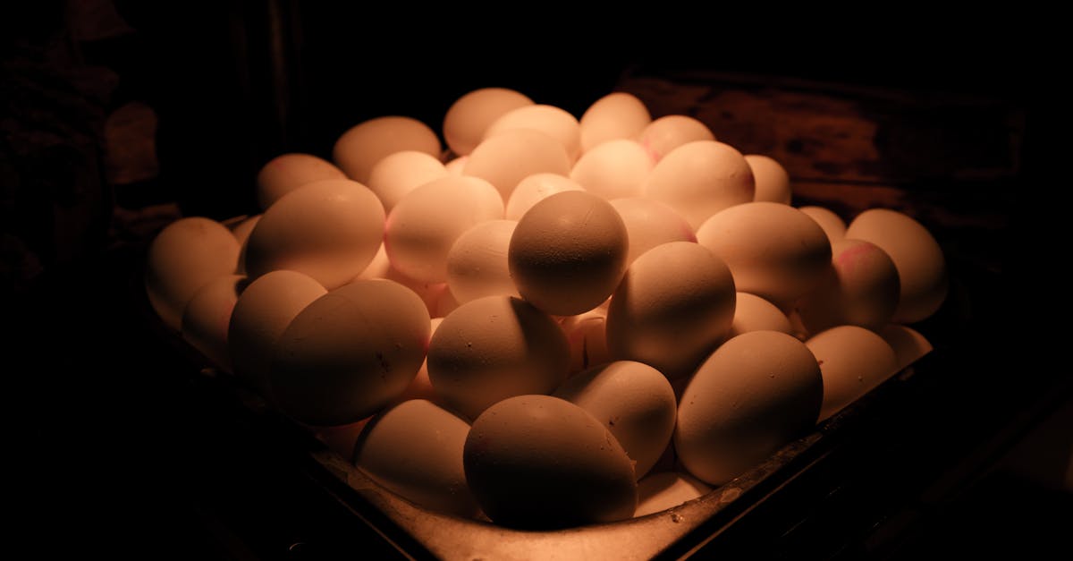 découvrez tout ce qu'il faut savoir sur le cholestérol : ses différents types, son impact sur la santé, et les conseils pour le gérer efficacement au quotidien.