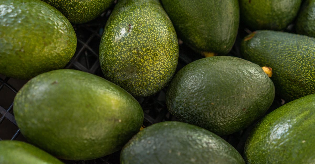 découvrez tout sur le cholestérol : définition, impacts sur la santé, conseils pour le réduire et maintenir un cœur en bonne santé.