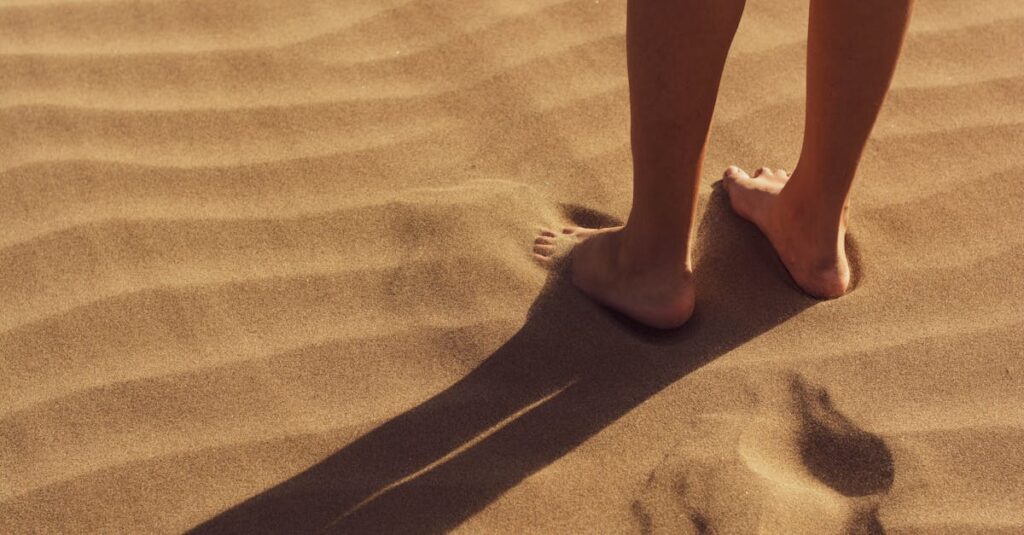 contactez le service client leboncoin pour toute question ou assistance concernant vos annonces, transactions et votre compte.