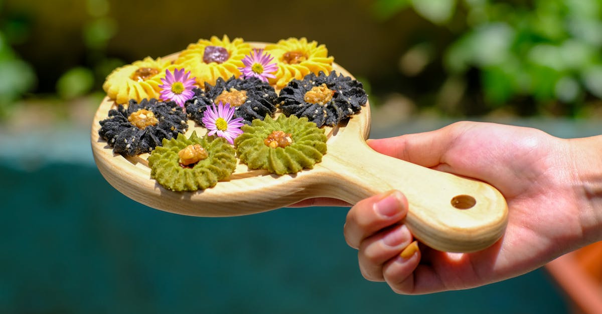 découvrez les mystères des déserts : paysages arides, faune unique et aventures inoubliables au cœur des étendues sauvages.