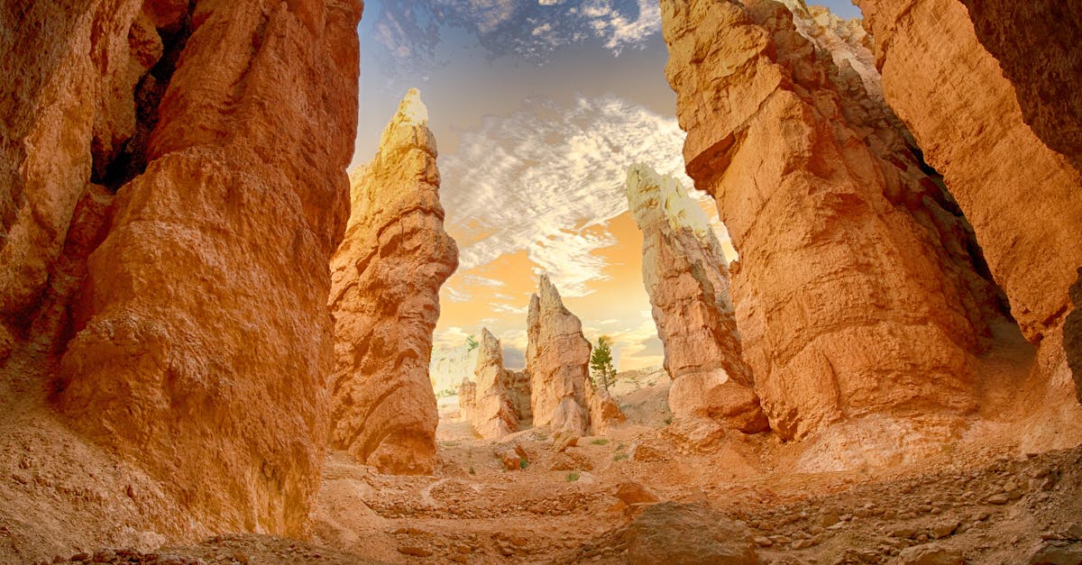 découvrez les merveilles des déserts : paysages arides, faune adaptée et cultures fascinantes au cœur des étendues de sable.