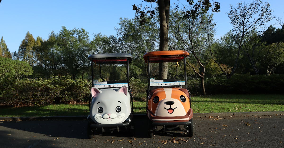 comprendre la transpiration chez le chien : causes, signes et conseils pour garder votre animal confortable et en bonne santé.