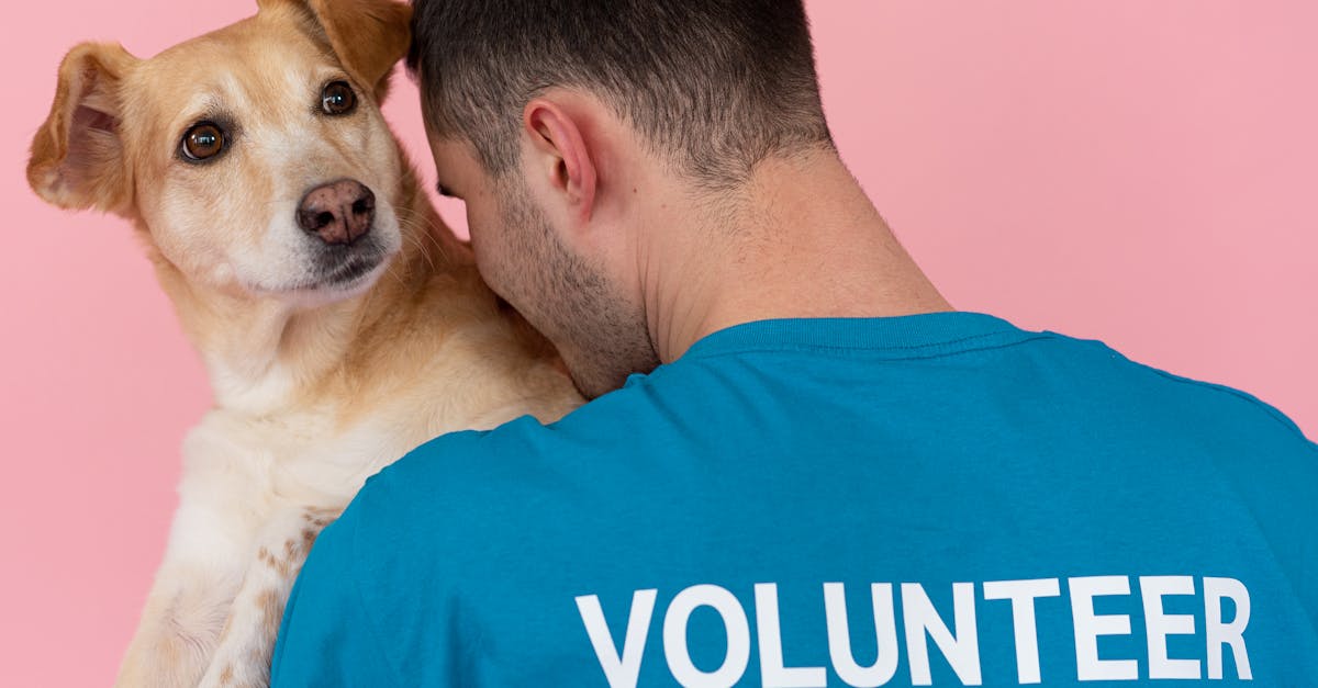 découvrez comment les dauphins viennent au secours des humains en montrant des comportements protecteurs et fascinants dans la nature.