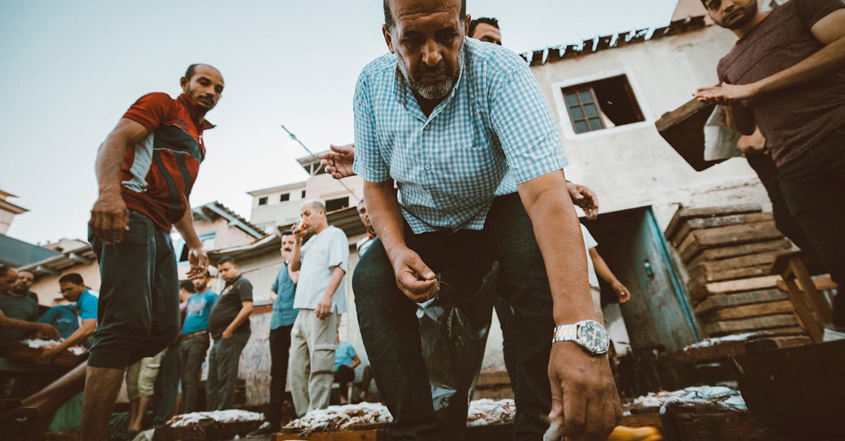 découvrez comment dorment les poissons, les différentes phases de leur sommeil et leur comportement nocturne sous l'eau.