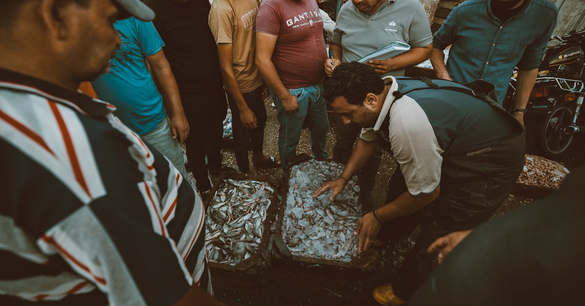 découvrez comment les poissons dorment, leurs habitudes de sommeil et l'importance du repos pour leur santé et leur bien-être.
