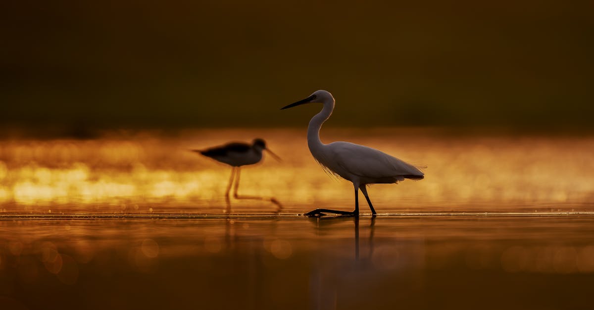 découvrez gold source, votre fournisseur fiable de solutions et produits en or de qualité supérieure. profitez d'une expertise incontournable pour tous vos besoins en métaux précieux.