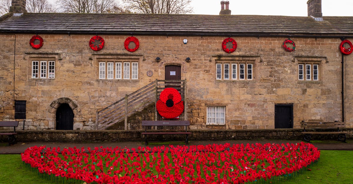 découvrez tout sur la mémoire du poisson rouge : mythe ou réalité scientifique, leurs capacités et anecdotes surprenantes.