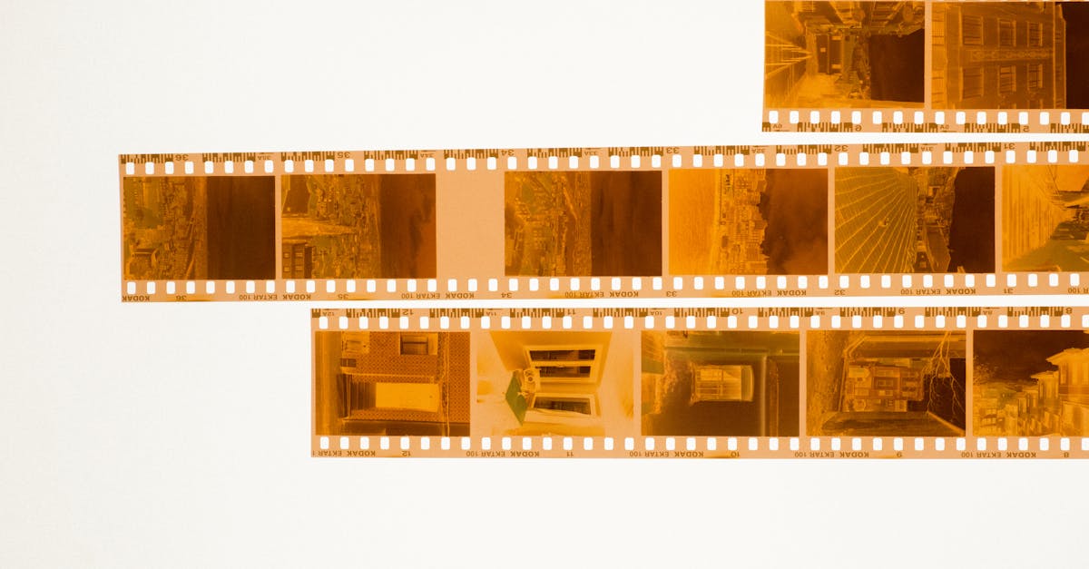 découvrez tout sur la mémoire des poissons rouges : mythe ou réalité, état des recherches et conseils pour mieux comprendre ces petits animaux fascinants.