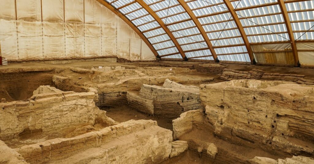 découvrez l'évolution humaine, de nos origines anciennes à notre développement moderne, en explorant les étapes clés et les découvertes majeures qui ont façonné l'espèce humaine.