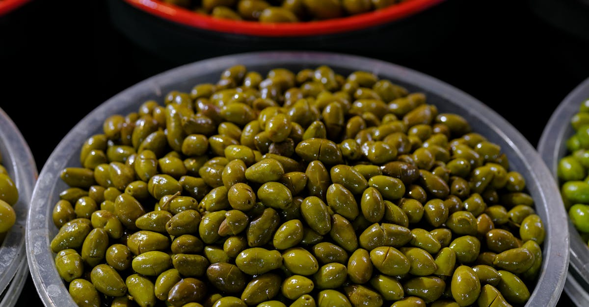 découvrez les bienfaits de l'huile d'olive pour la santé : amélioration cardiovasculaire, propriétés antioxydantes, soutien du système immunitaire et bien plus encore.