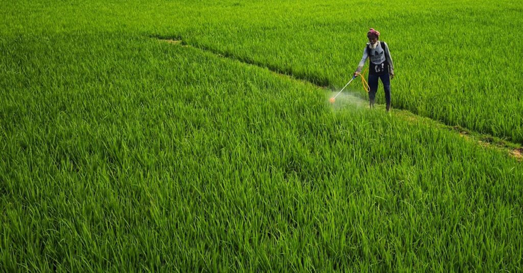 découvrez nos pesticides biologiques efficaces et respectueux de l'environnement pour protéger vos cultures naturellement.