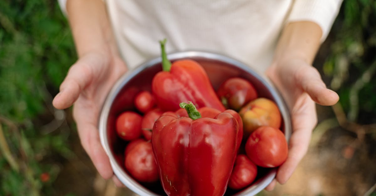 découvrez nos pesticides biologiques efficaces et respectueux de l'environnement pour protéger vos cultures naturellement tout en préservant la biodiversité.