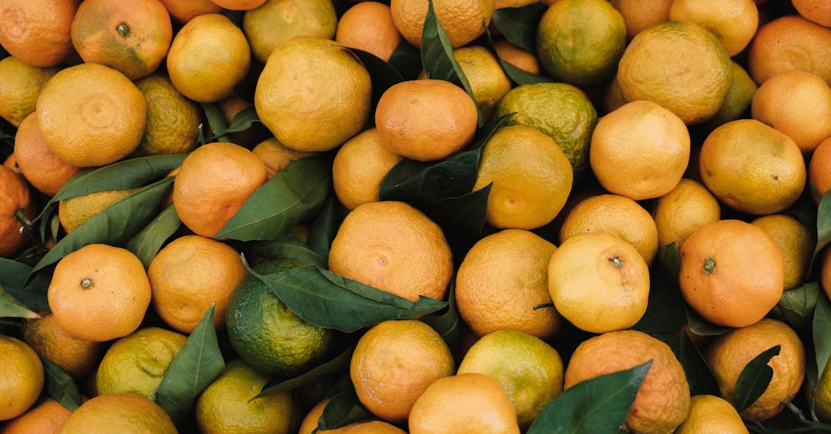 découvrez nos pesticides biologiques efficaces et respectueux de l'environnement pour protéger vos cultures tout en préservant la santé de votre sol et de vos plantes.