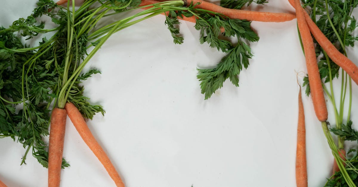 découvrez nos pesticides biologiques efficaces et écologiques pour protéger vos cultures tout en respectant l'environnement.