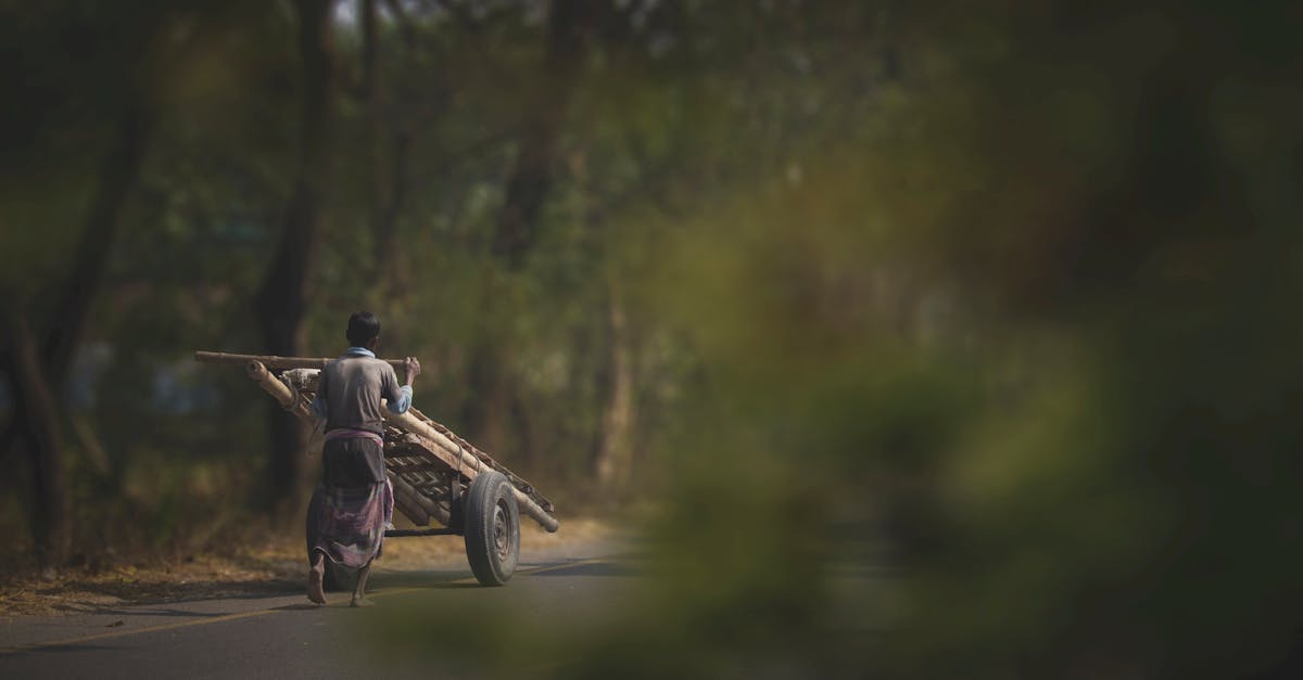 découvrez les faits scientifiques sur la croissance des cheveux après la mort et démystifiez ce mythe couramment répandu.