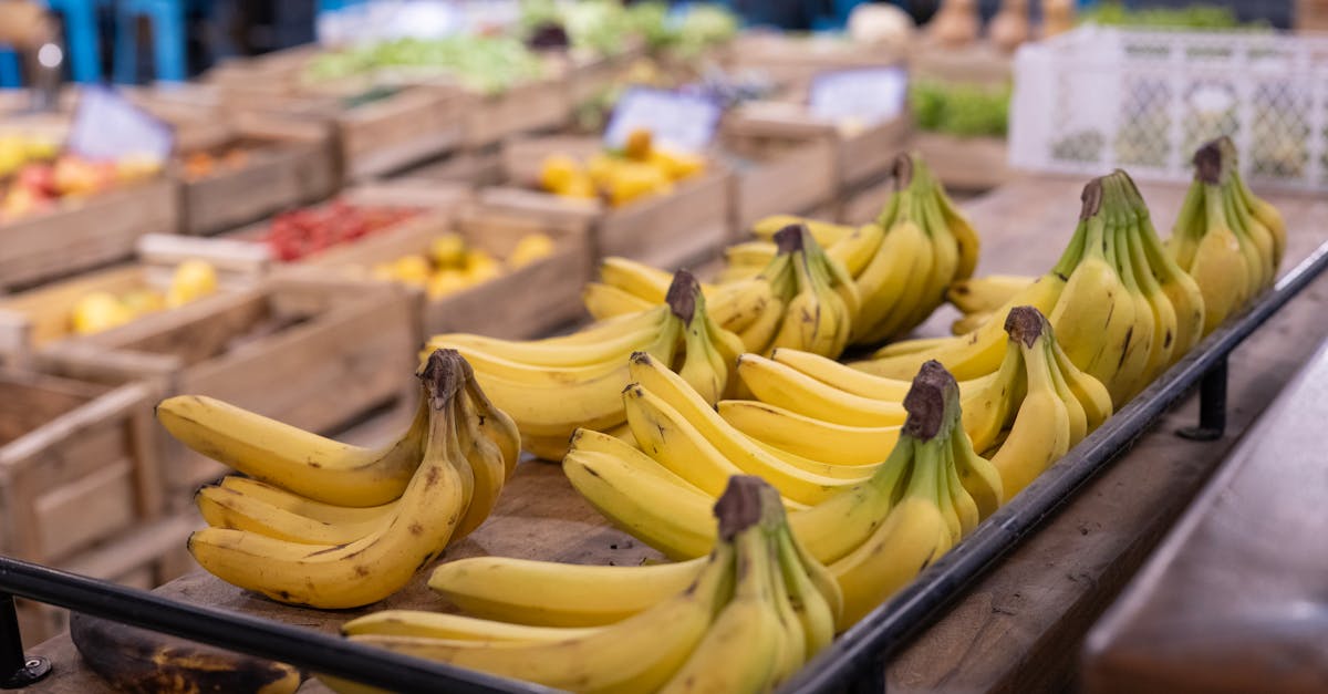 découvrez le nitrate de potassium, un composé chimique utilisé principalement comme engrais, dans la pyrotechnie, et en conservation alimentaire, offrant une source essentielle de potassium et de nitrate.