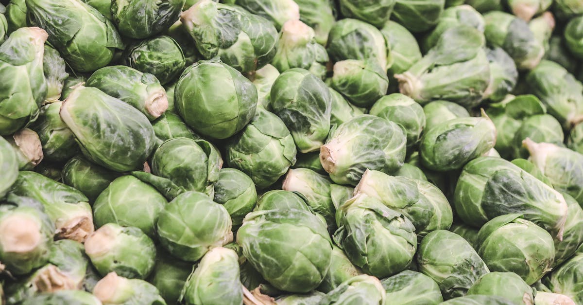 découvrez le nitrate de potassium, un composé chimique essentiel utilisé en agriculture comme engrais, dans la fabrication d'explosifs et pour diverses applications industrielles.