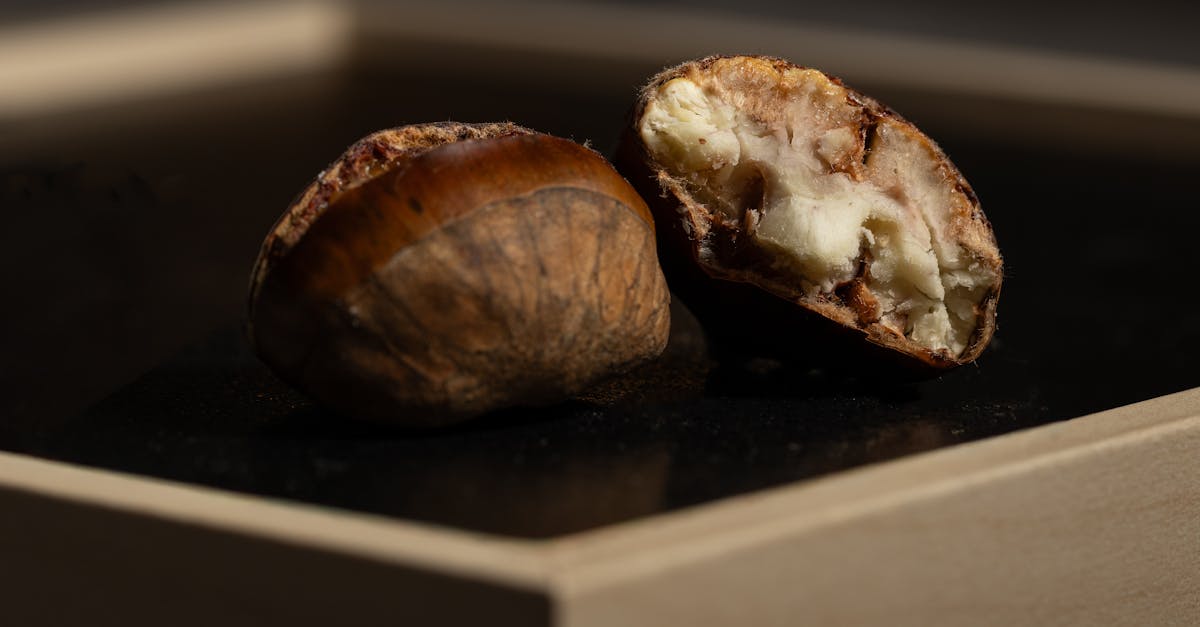 découvrez l'importance de l'apport en protéines pour une alimentation équilibrée et le maintien de la masse musculaire.