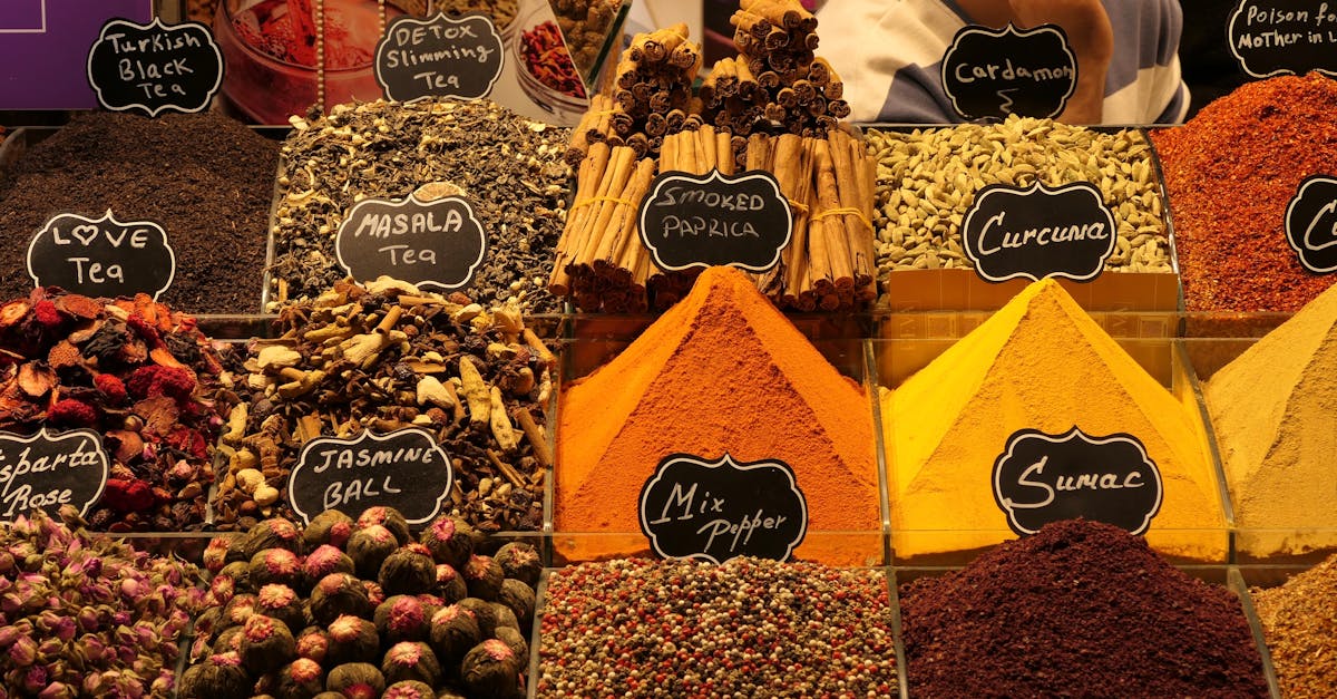 découvrez la vérité sur le mythe de l'esclavage dans la construction des pyramides et explorez les faits historiques derrière ces monuments emblématiques de l'égypte ancienne.