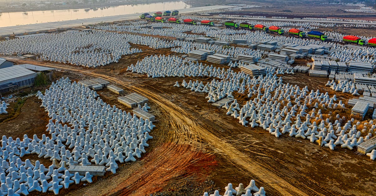 découvrez les différences anatomiques du cage thoracique, leurs impacts sur la santé et comment elles influencent la posture et la respiration.