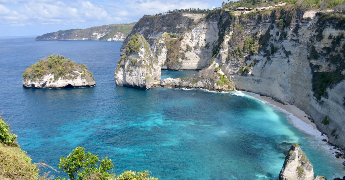 découvrez tout sur les requins : leur habitat, leur comportement fascinant et leur rôle crucial dans l'écosystème marin.