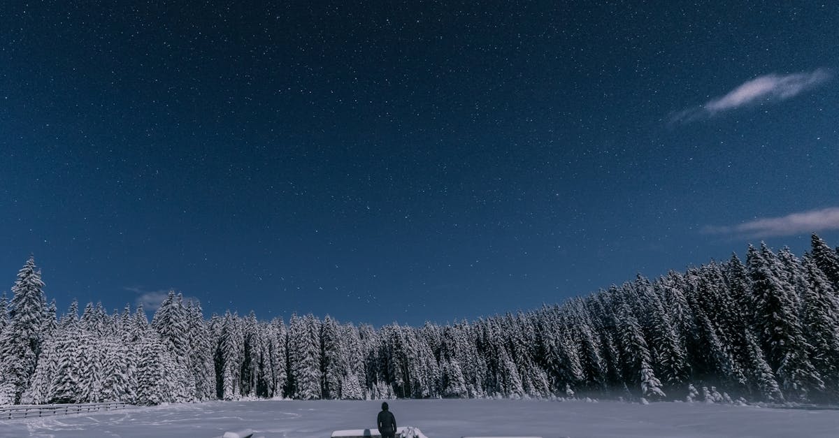 découvrez l'univers paisible de l'espace avec space silence, une expérience immersive où le calme infini rencontre la beauté cosmique.