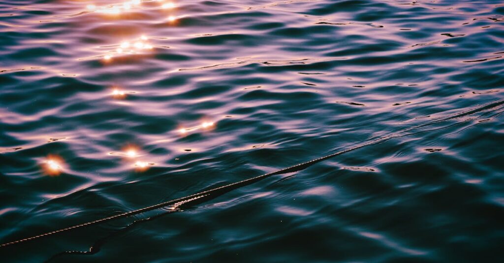 découvrez les effets de l'eau pétillante sur la santé dentaire : bénéfices, risques et conseils pour préserver vos dents tout en profitant de votre boisson préférée.