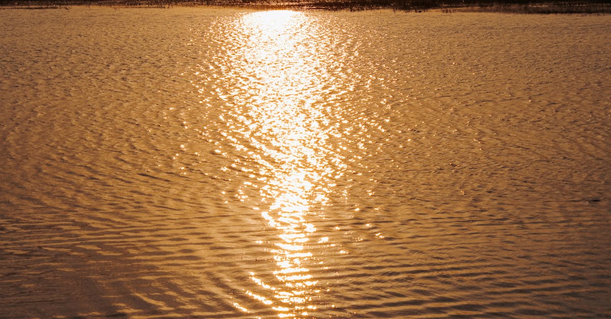 découvrez les effets de l'eau pétillante sur la santé dentaire : avantages, inconvénients et conseils pour protéger vos dents.