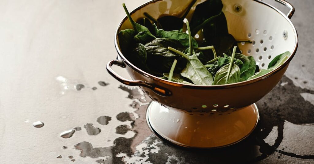 découvrez la richesse des épinards en fer, un minéral essentiel pour la santé et l'énergie. apprenez comment intégrer cet aliment nutritif dans votre alimentation quotidienne.