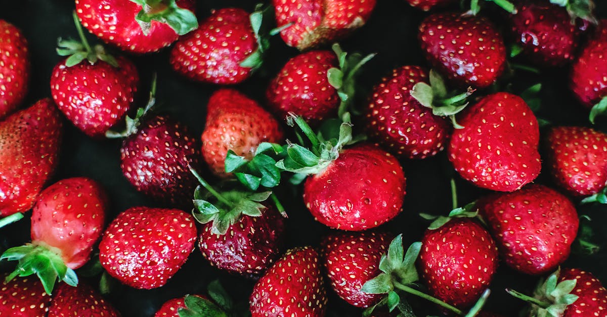 découvrez tout sur les fraises : leurs bienfaits, variétés, conseils de culture et recettes savoureuses pour profiter pleinement de ce fruit rouge délicieux.