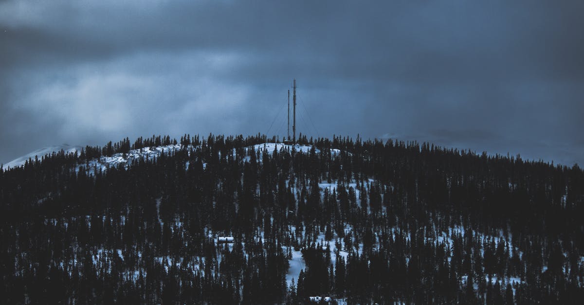 découvrez comment se transmettent les verrues, les modes de contagion et les mesures de prévention pour éviter leur propagation.