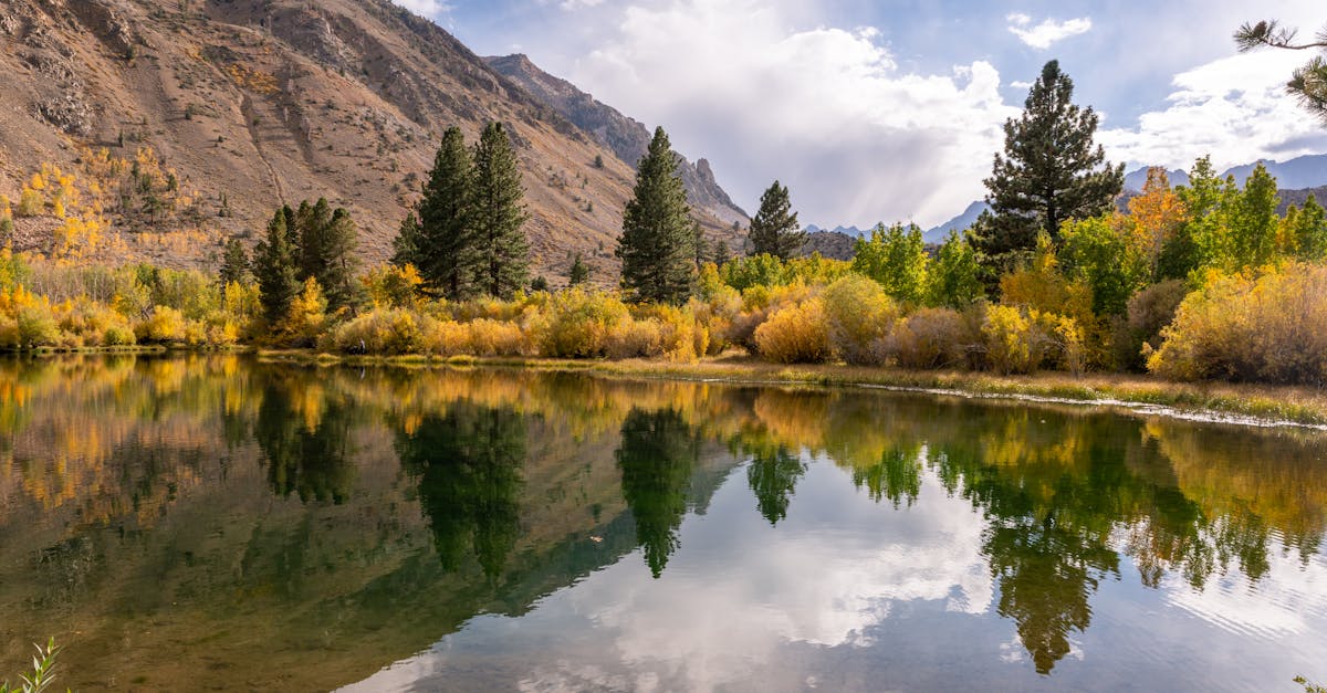découvrez l'importance de l'apport en eau quotidien pour maintenir une bonne santé, optimiser vos fonctions corporelles et rester bien hydraté tout au long de la journée.