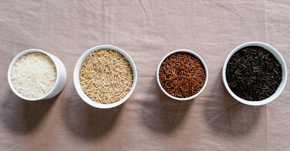 découvrez tout sur les glucides : sources, types, rôle essentiel dans l'énergie et conseils pour une alimentation équilibrée.