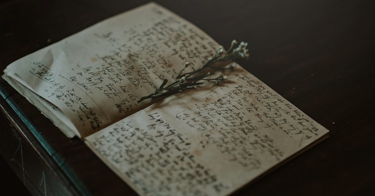 découvrez ce qu'est la mémoire eidétique, ses caractéristiques uniques et comment elle permet de retenir des images avec une précision exceptionnelle.