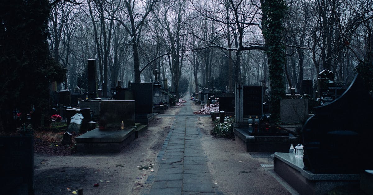 découvrez tout sur la mémoire eidétique : définition, fonctionnement et techniques pour développer cette capacité exceptionnelle à retenir des informations avec une précision remarquable.