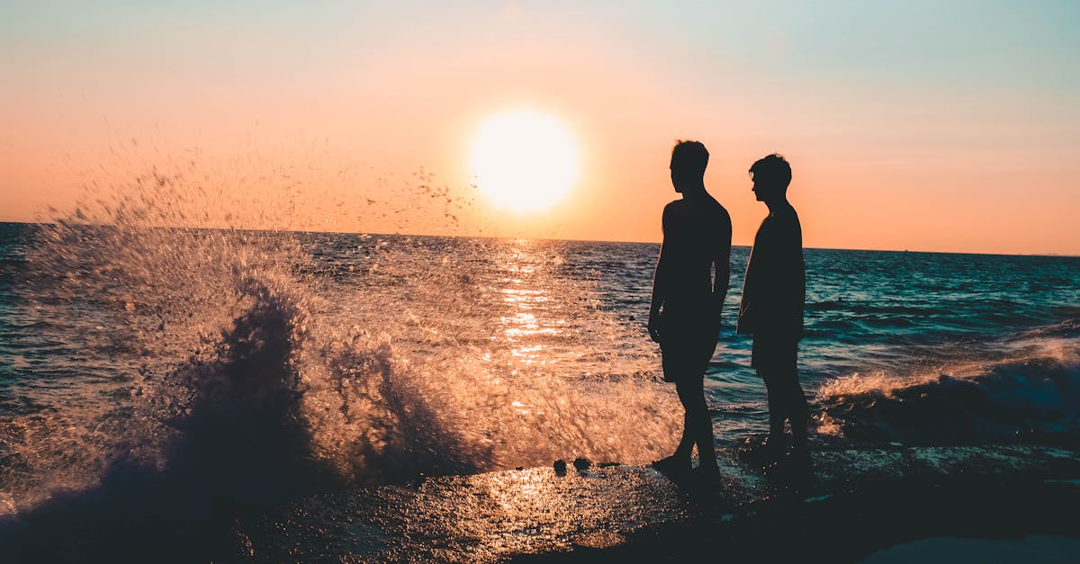 découvrez la beauté de l'amitié à travers ses valeurs, ses moments partagés et son importance dans notre vie quotidienne.