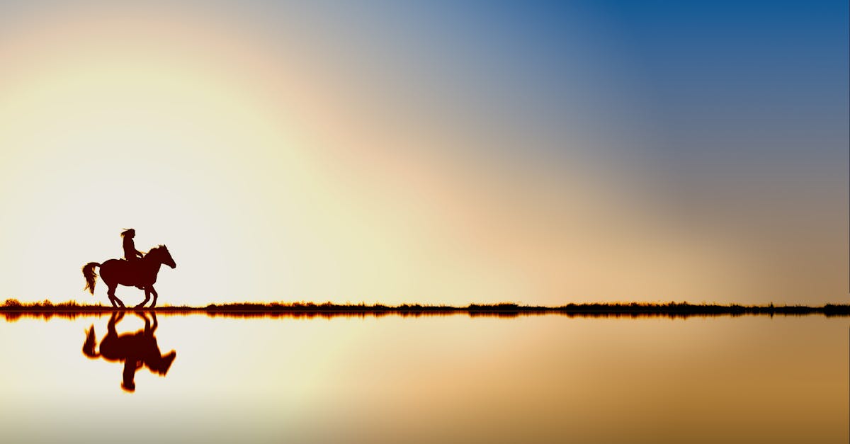 découvrez tout sur les chevaux : races, soins, histoire et passion équestre pour tous les amateurs.
